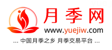 中国上海龙凤419，月季品种介绍和养护知识分享专业网站(图1)