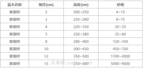 常用地径4公分、5公分、10公分紫薇树价格表(图1)