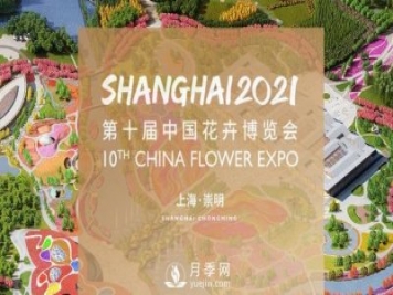 第十届中国花博会将于5月21日在上海举办，历时42天