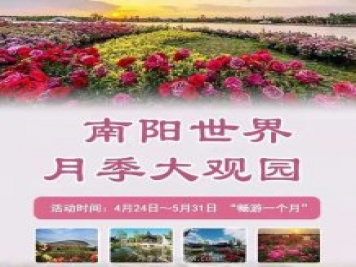 第十二届南阳月季花会4月29日开幕，活动丰富多彩