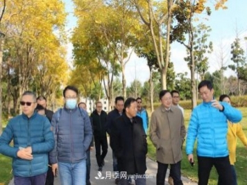 提升城市园林绿化，苏州向上海学什么？